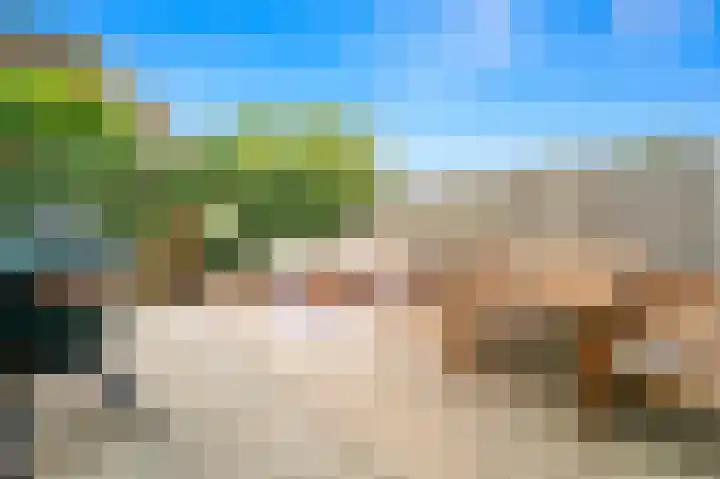 Balkengat 28 Den Hoorn thumbnail 16