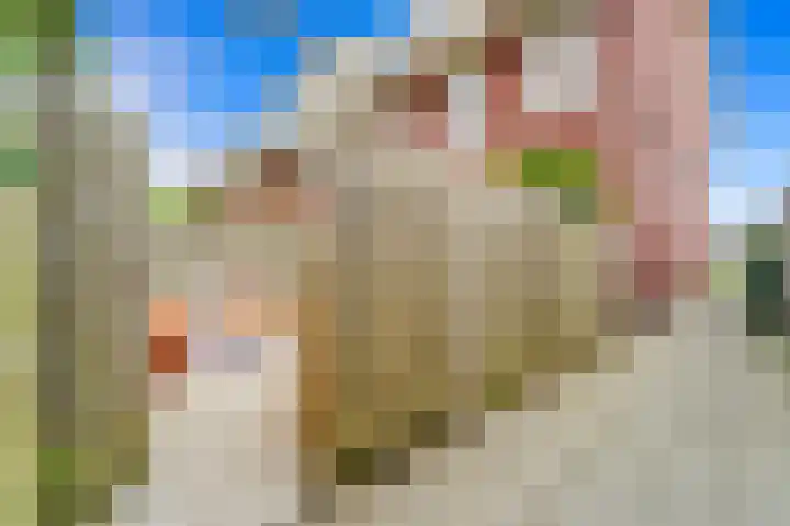 Balkengat 28 Den Hoorn thumbnail 19