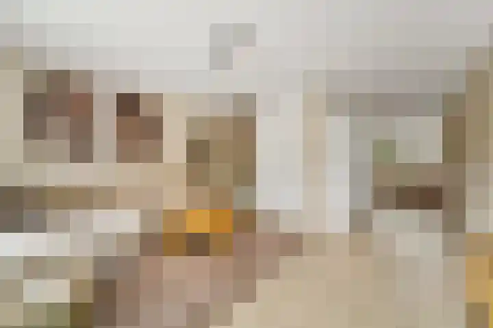 Balkengat 28 Den Hoorn thumbnail 23