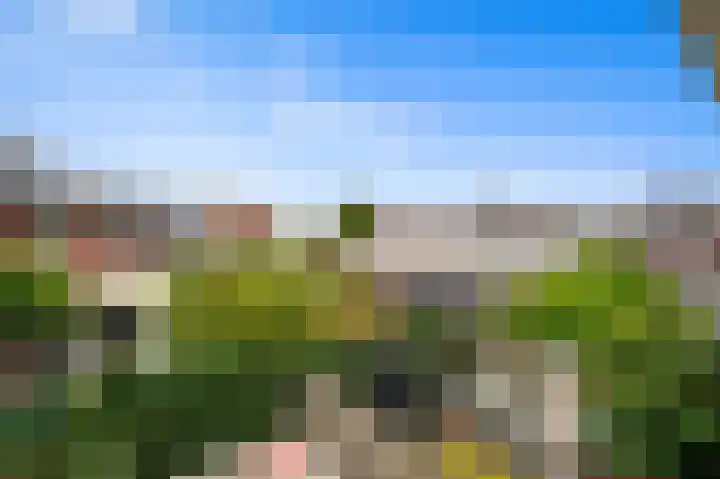 Balkengat 28 Den Hoorn thumbnail 28