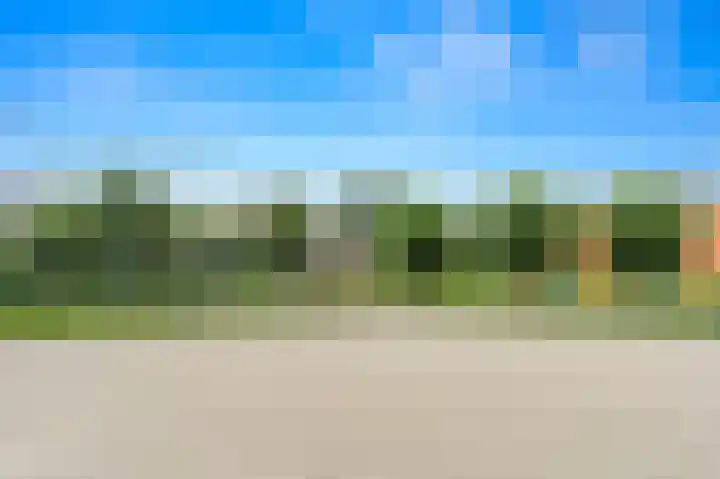 Balkengat 28 Den Hoorn thumbnail 38