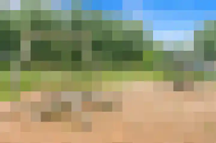 Balkengat 28 Den Hoorn thumbnail 39