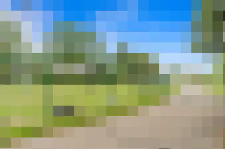 Balkengat 28 Den Hoorn thumbnail 41