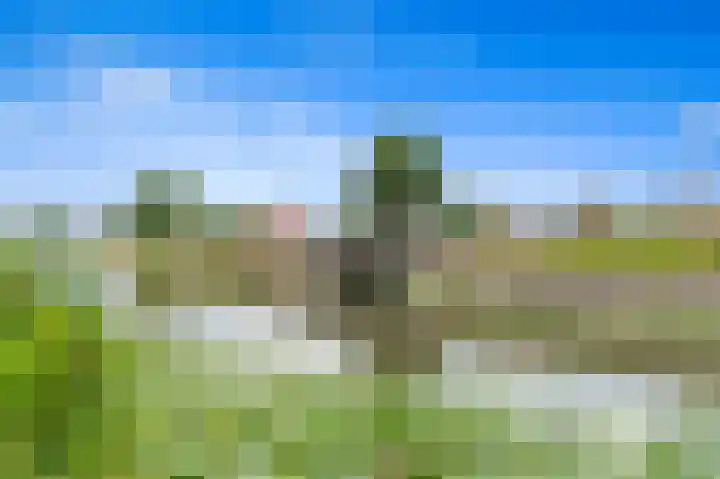 Balkengat 28 Den Hoorn thumbnail 42