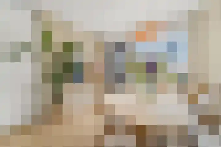Balkengat 28 Den Hoorn thumbnail 8