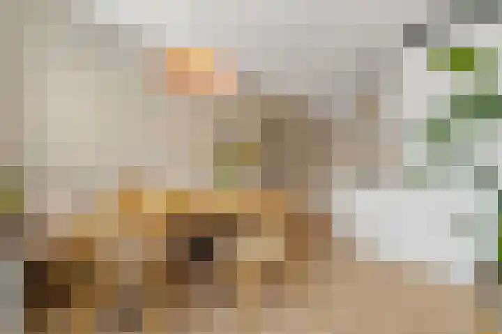 Balkengat 28 Den Hoorn thumbnail 9