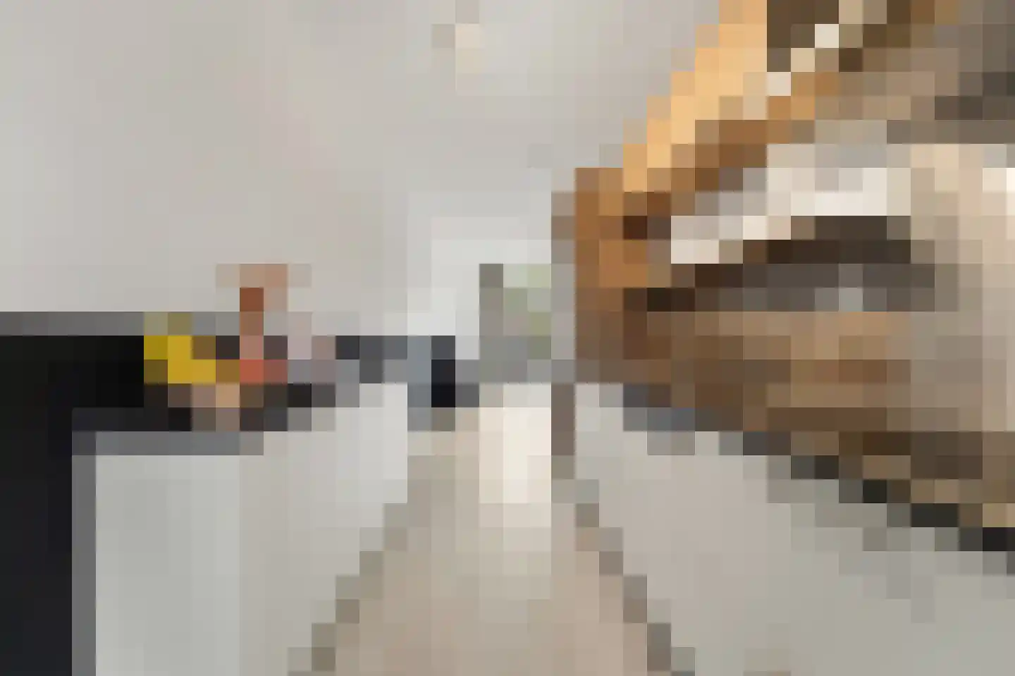 Balkengat 8 Den Hoorn thumbnail 10