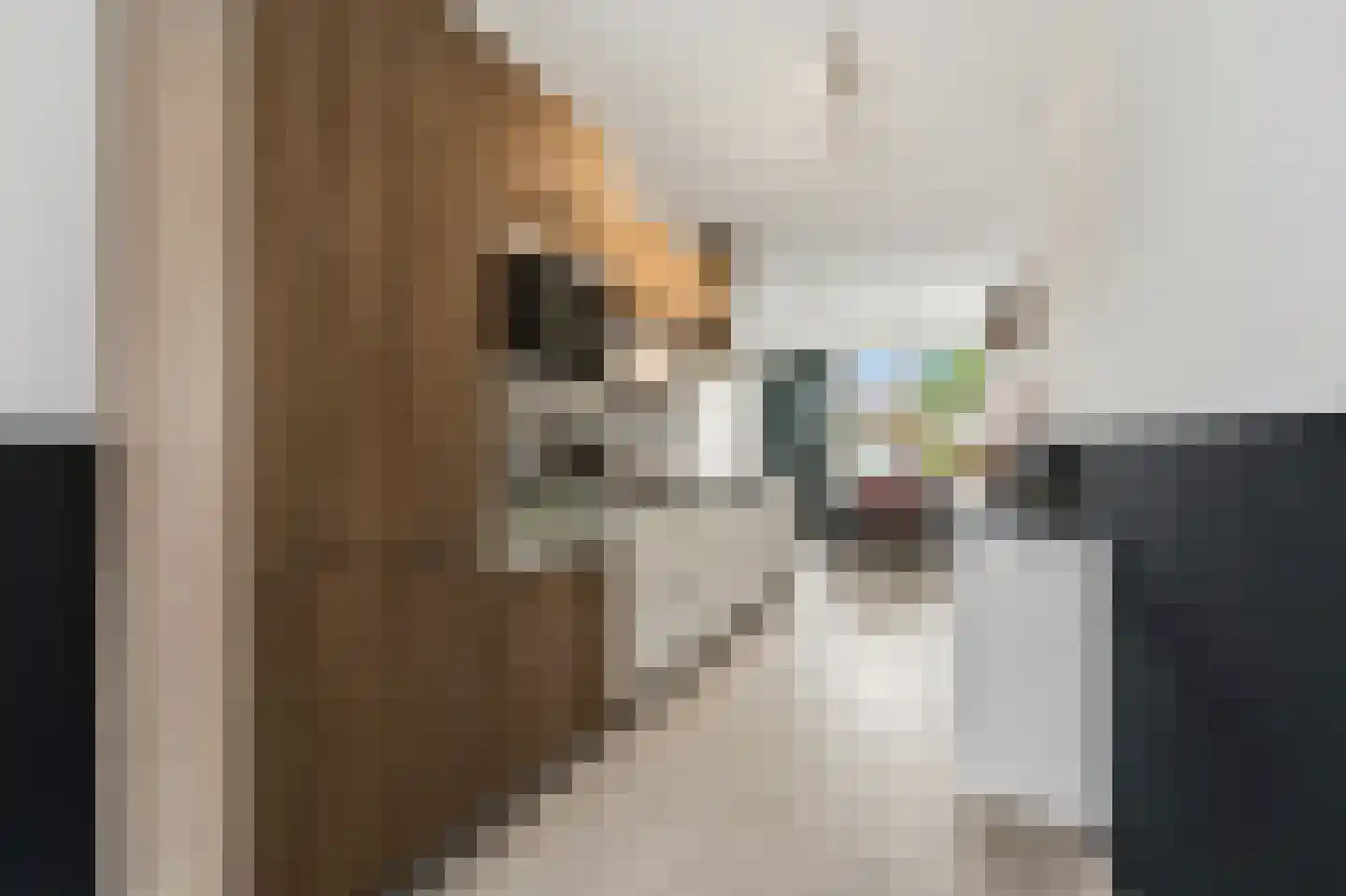 Balkengat 8 Den Hoorn thumbnail 11