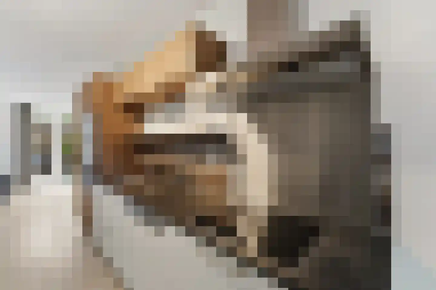 Balkengat 8 Den Hoorn thumbnail 12