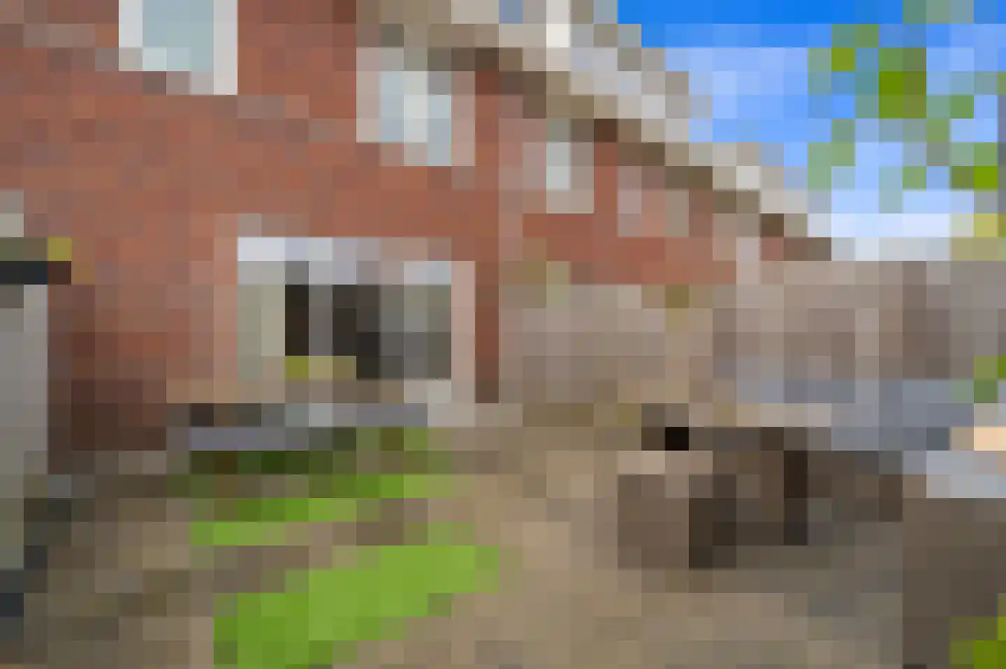 Balkengat 8 Den Hoorn thumbnail 16