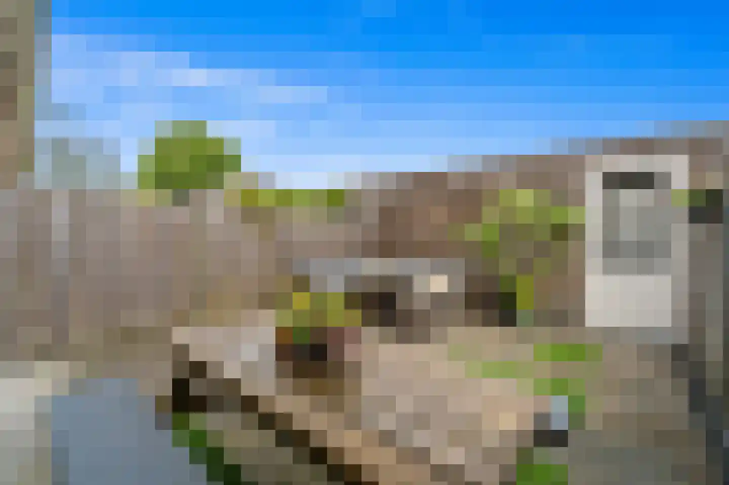 Balkengat 8 Den Hoorn thumbnail 20
