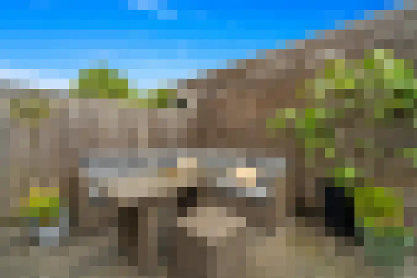 Balkengat 8 Den Hoorn thumbnail 21