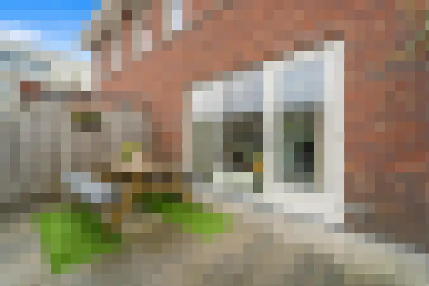 Balkengat 8 Den Hoorn thumbnail 22