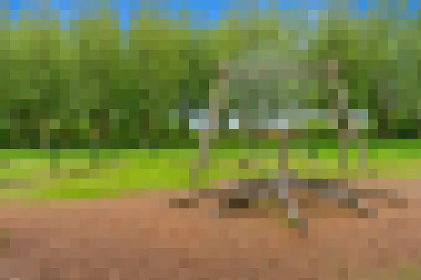 Balkengat 8 Den Hoorn thumbnail 37
