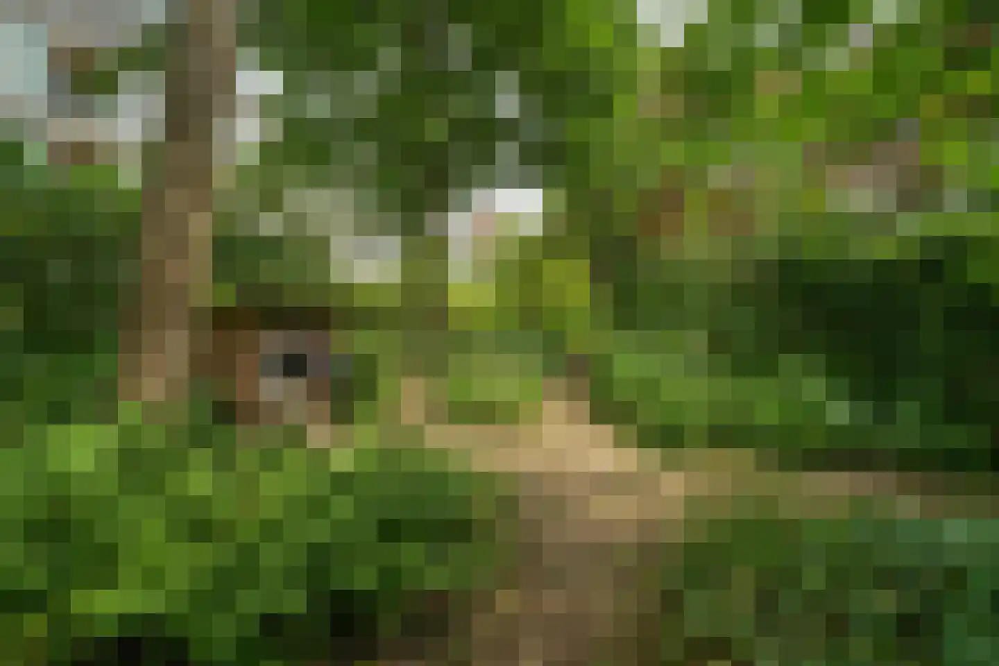 Balkenstraat 23 B Rotterdam thumbnail 30