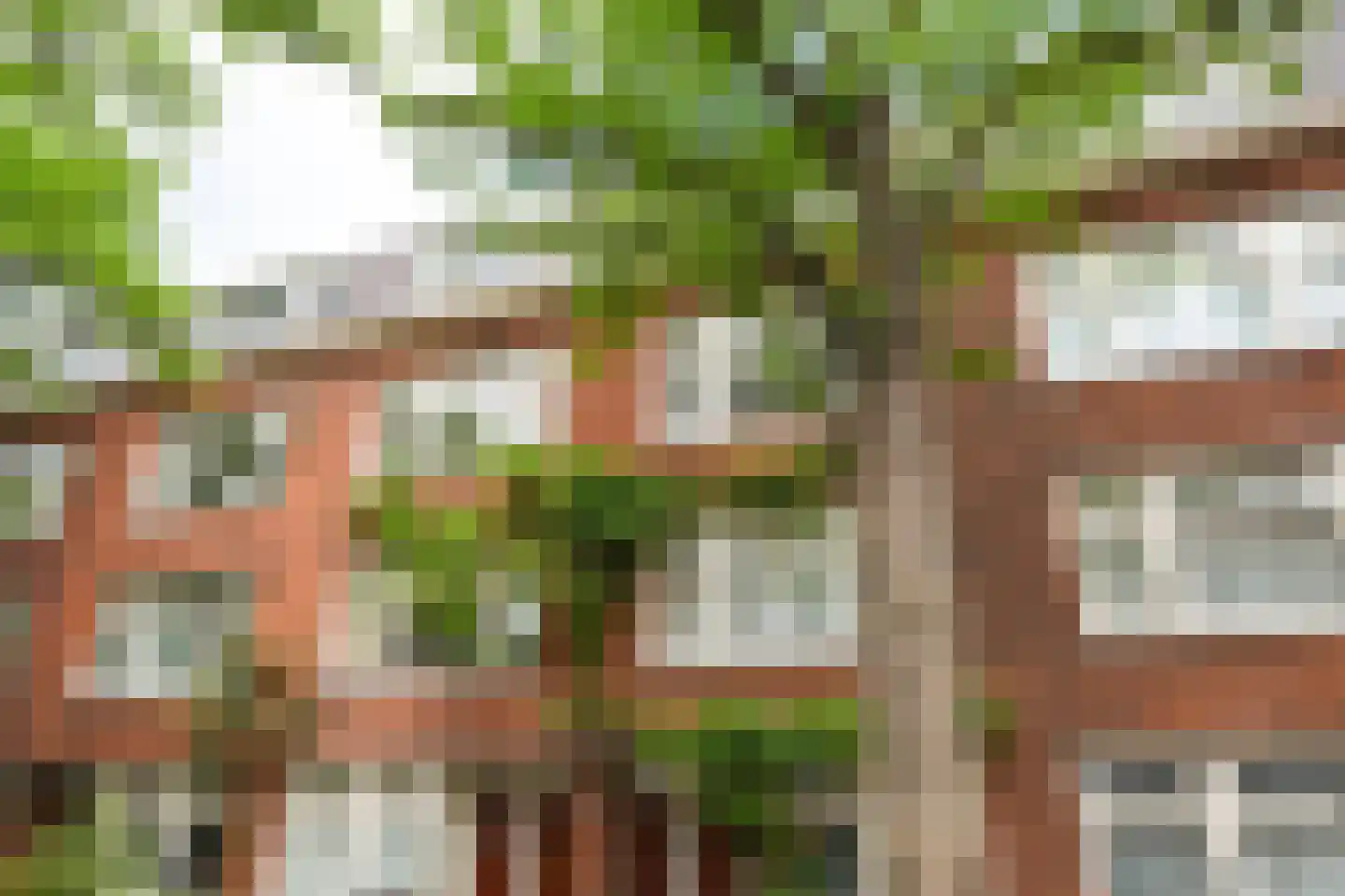 Balkenstraat 23 B Rotterdam thumbnail 34