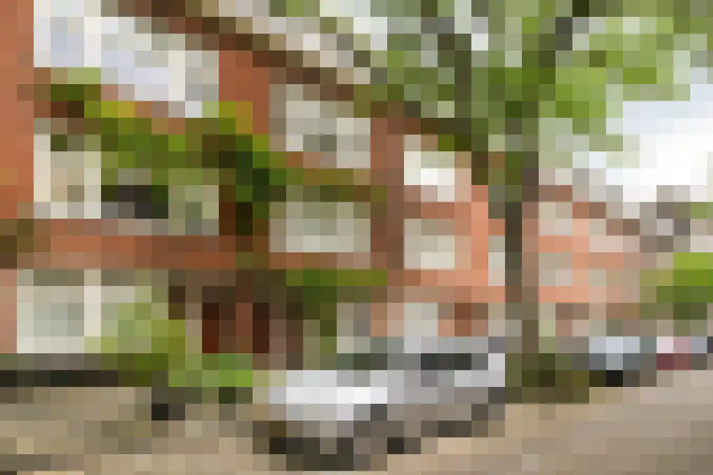 Balkenstraat 23 B Rotterdam thumbnail 36