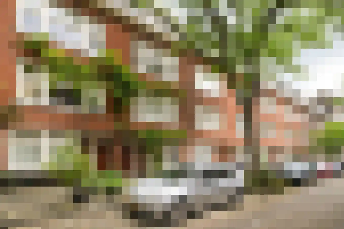 Balkenstraat 23 B Rotterdam thumbnail 36