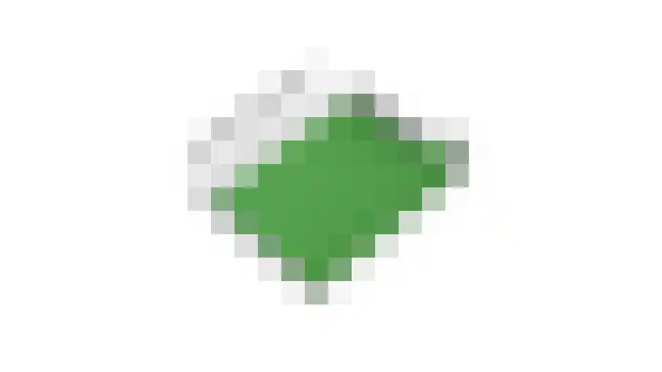 Balkenstraat 23 B Rotterdam thumbnail 42