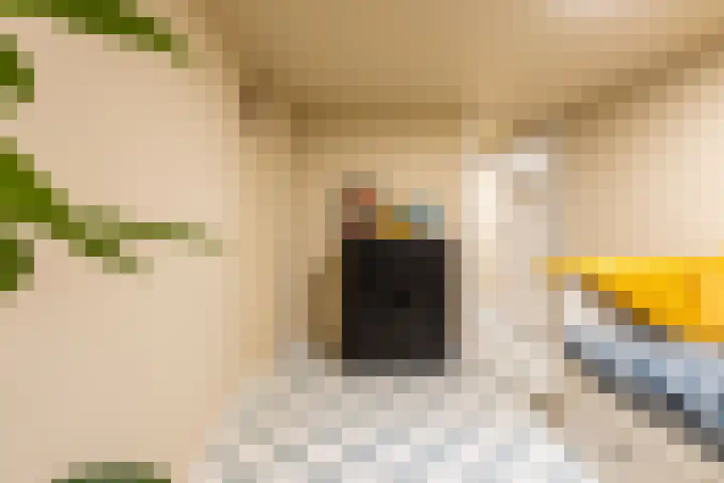 Balkenstraat 24 A Rotterdam thumbnail 32