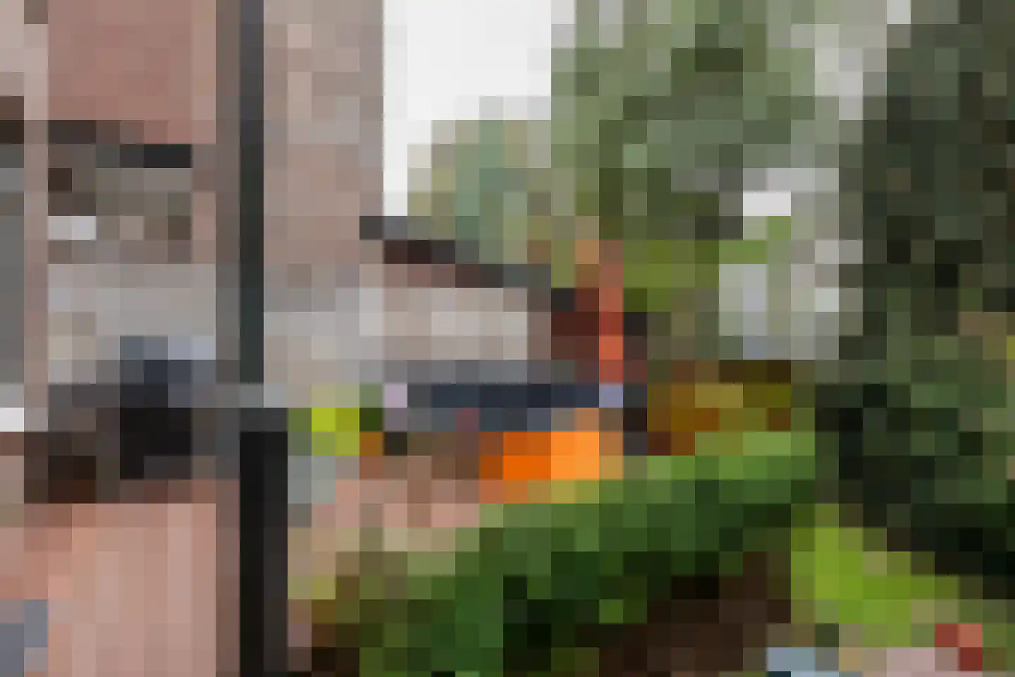 Balkenstraat 24 A Rotterdam thumbnail 43