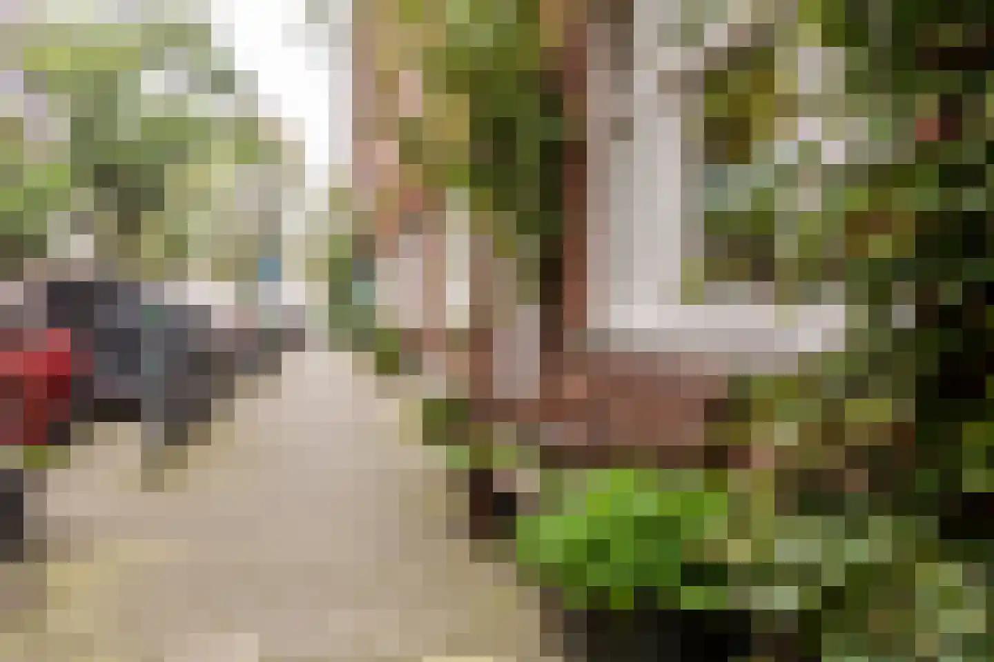 Balkenstraat 24 A Rotterdam thumbnail 50