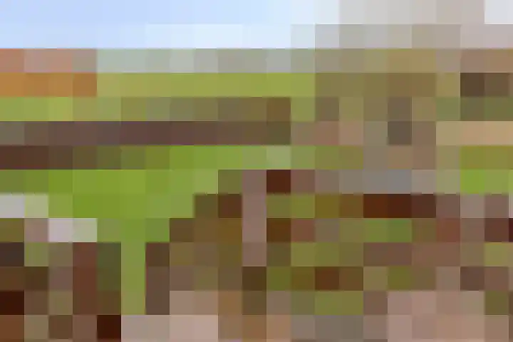 Balkepolle 14 Hindeloopen thumbnail 10