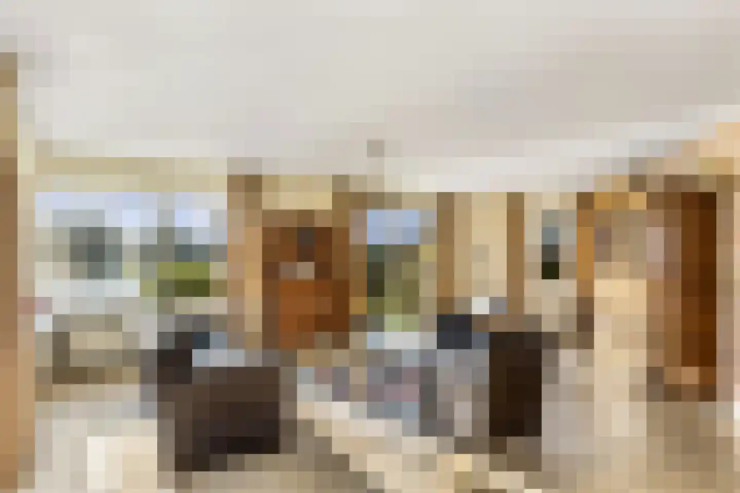Balkepolle 14 Hindeloopen thumbnail 10