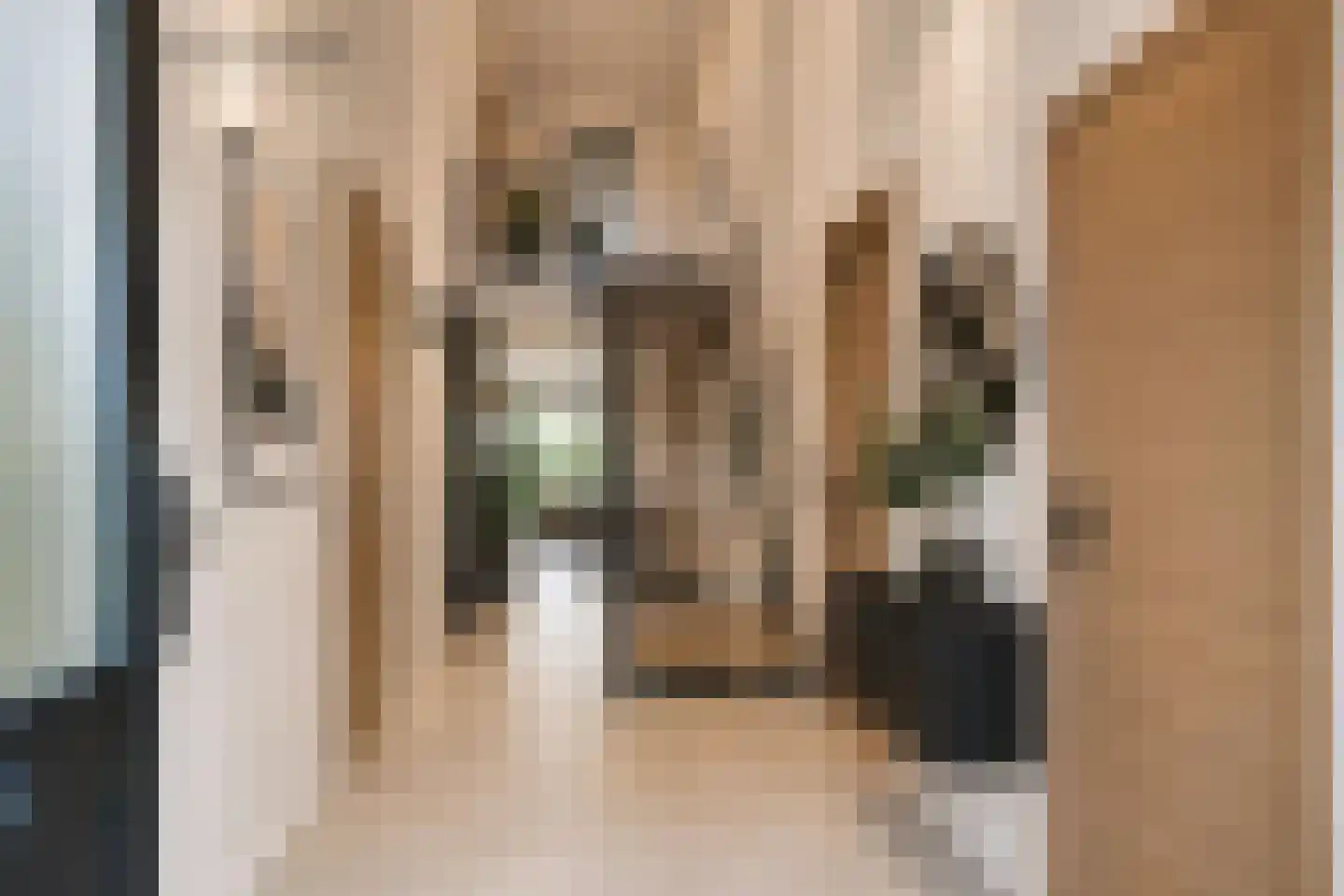 Balkepolle 14 Hindeloopen thumbnail 12