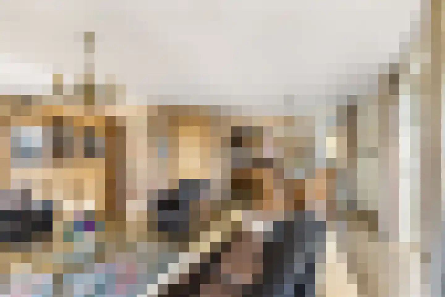 Balkepolle 14 Hindeloopen thumbnail 14