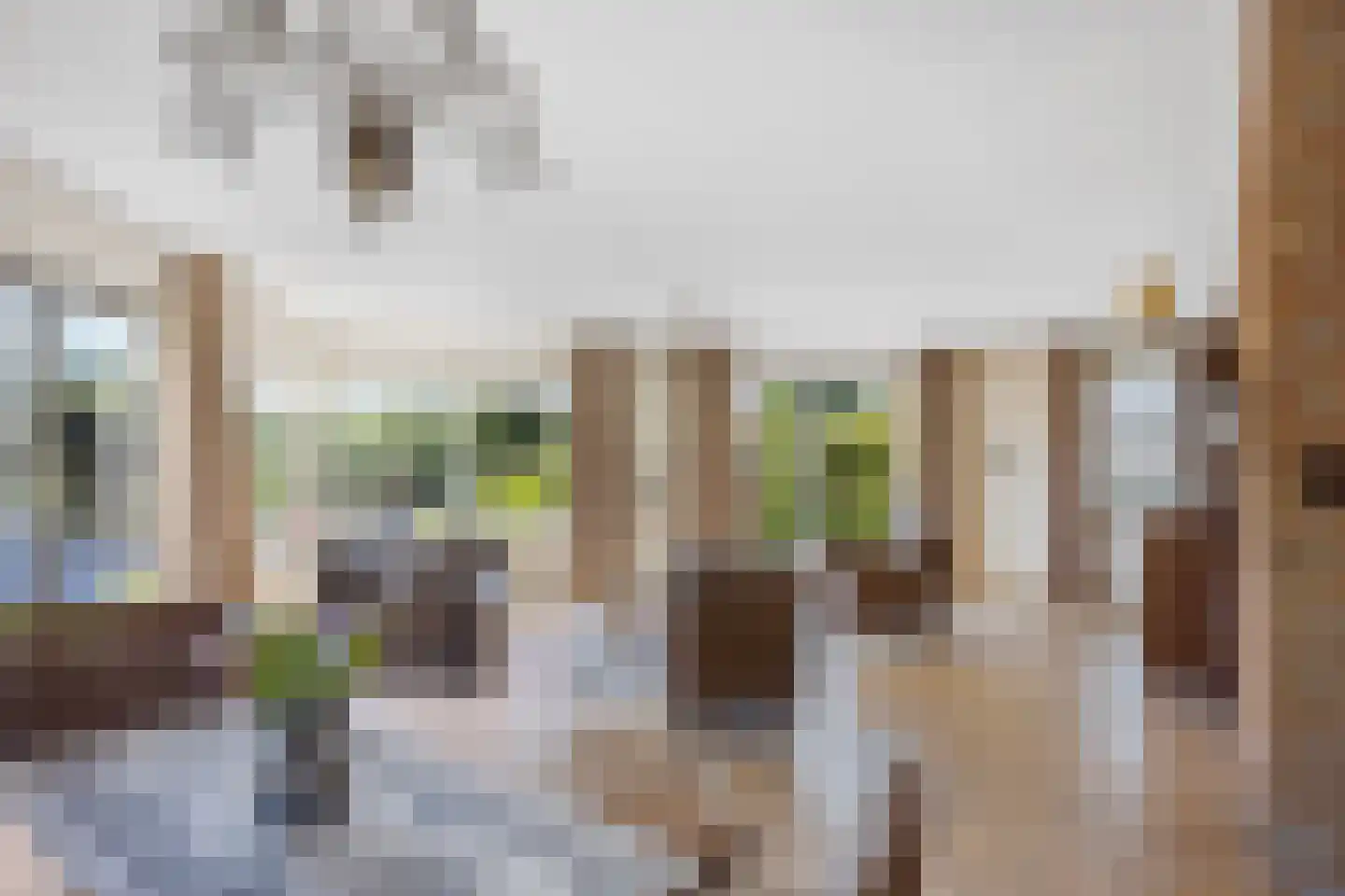 Balkepolle 14 Hindeloopen thumbnail 14
