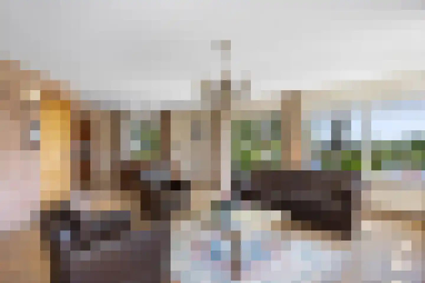 Balkepolle 14 Hindeloopen thumbnail 15
