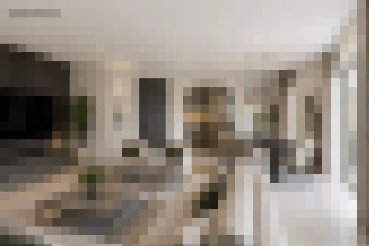 Balkepolle 14 Hindeloopen thumbnail 16