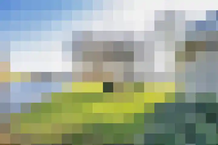 Balkepolle 14 Hindeloopen thumbnail 44