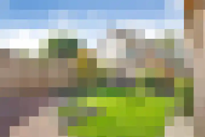 Balkepolle 14 Hindeloopen thumbnail 7