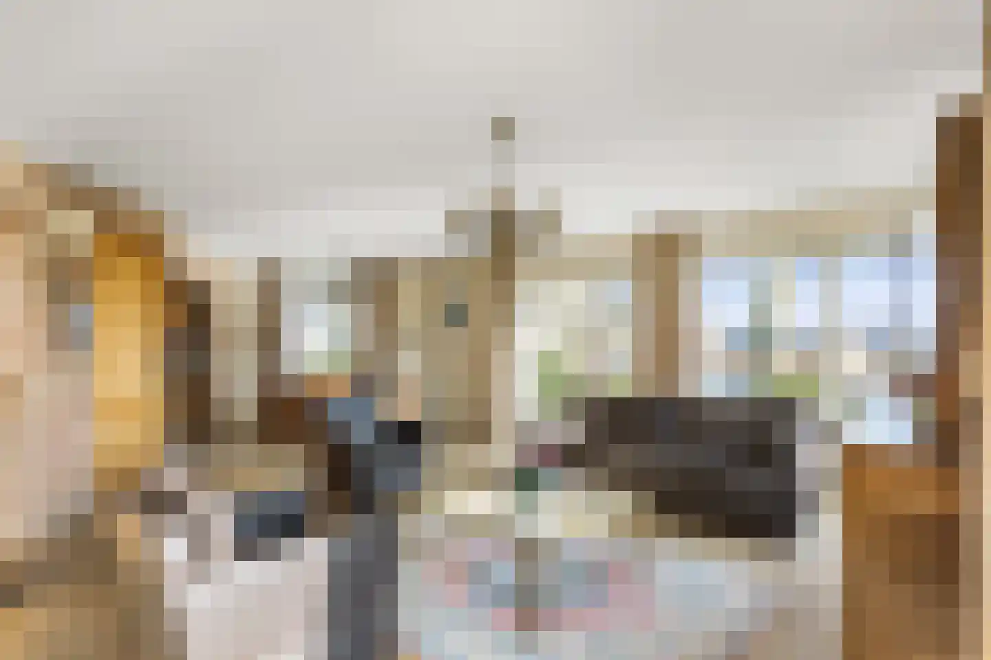 Balkepolle 14 Hindeloopen thumbnail 8