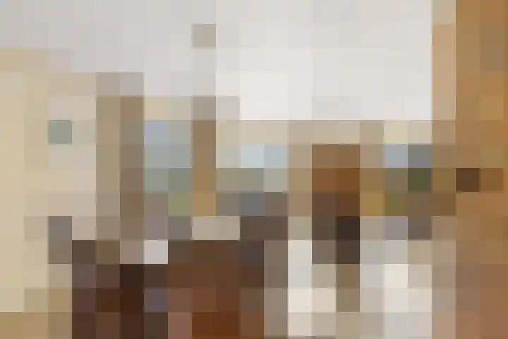 Balkepolle 14 Hindeloopen thumbnail 9