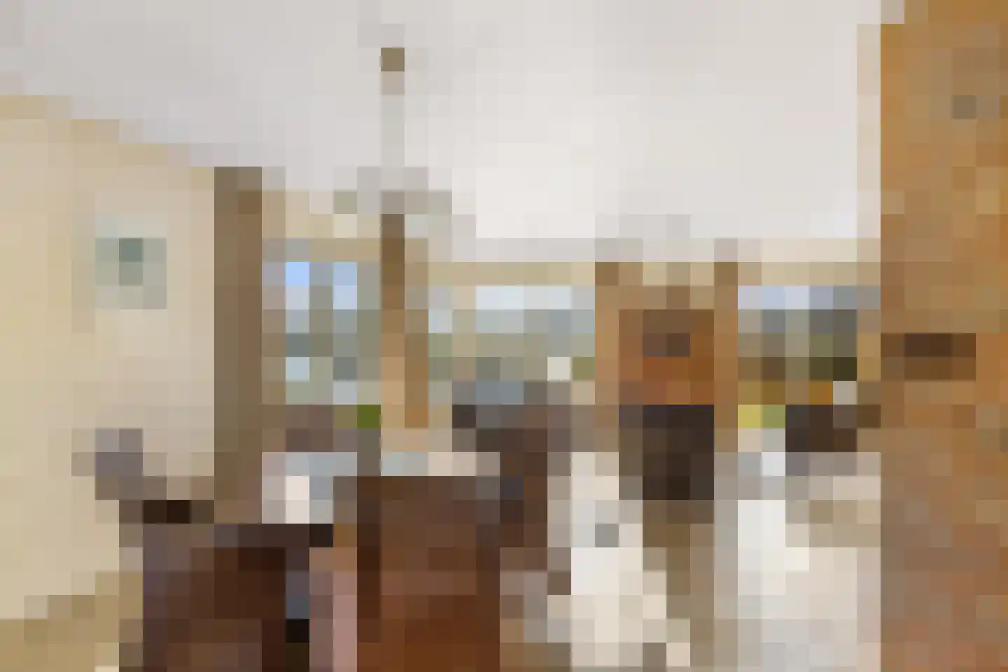 Balkepolle 14 Hindeloopen thumbnail 9