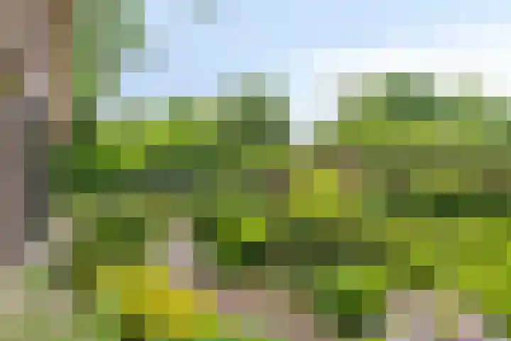 Balkerweg 20 i Ommen thumbnail 29