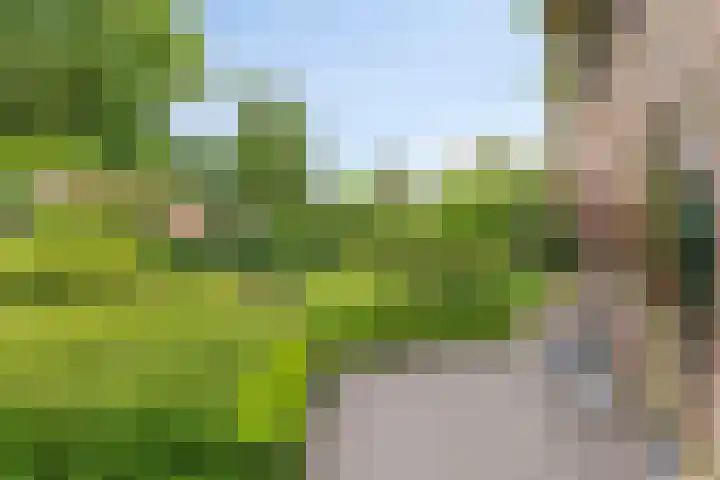 Balkerweg 20 i Ommen thumbnail 30