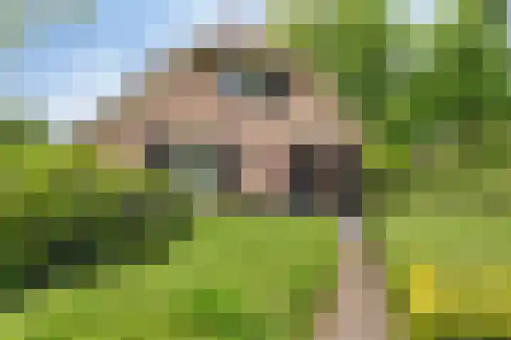 Balkerweg 20 i Ommen thumbnail 31
