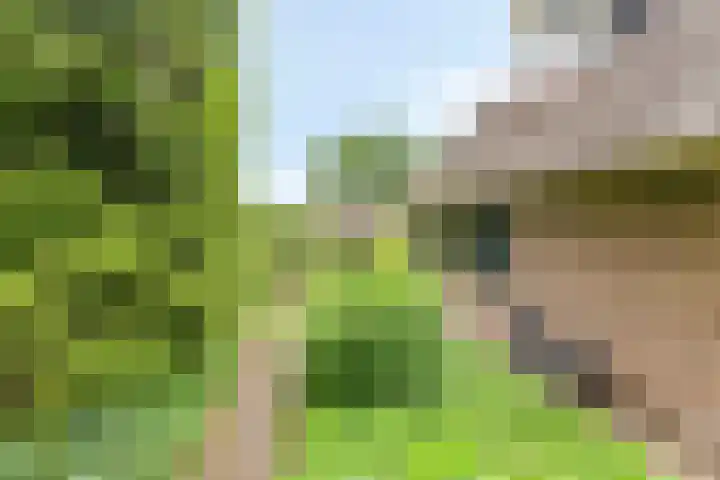 Balkerweg 20 i Ommen thumbnail 32