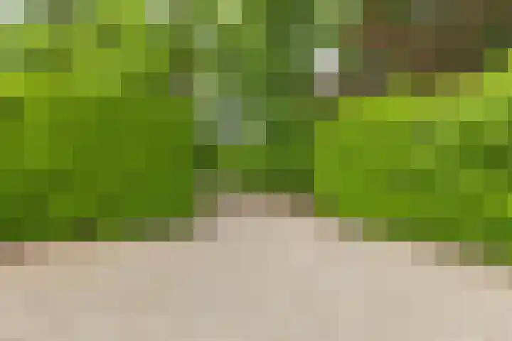 Balkerweg 20 i Ommen thumbnail 36