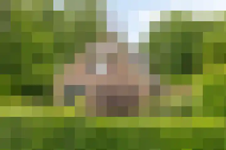Balkerweg 20 i Ommen thumbnail 38