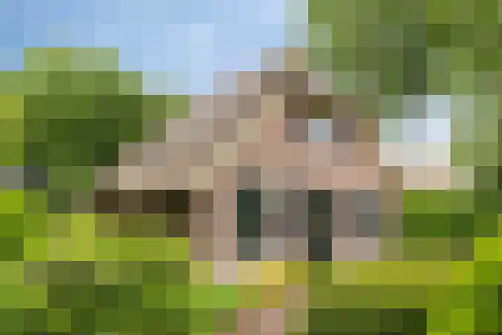 Balkerweg 20 i Ommen thumbnail 39