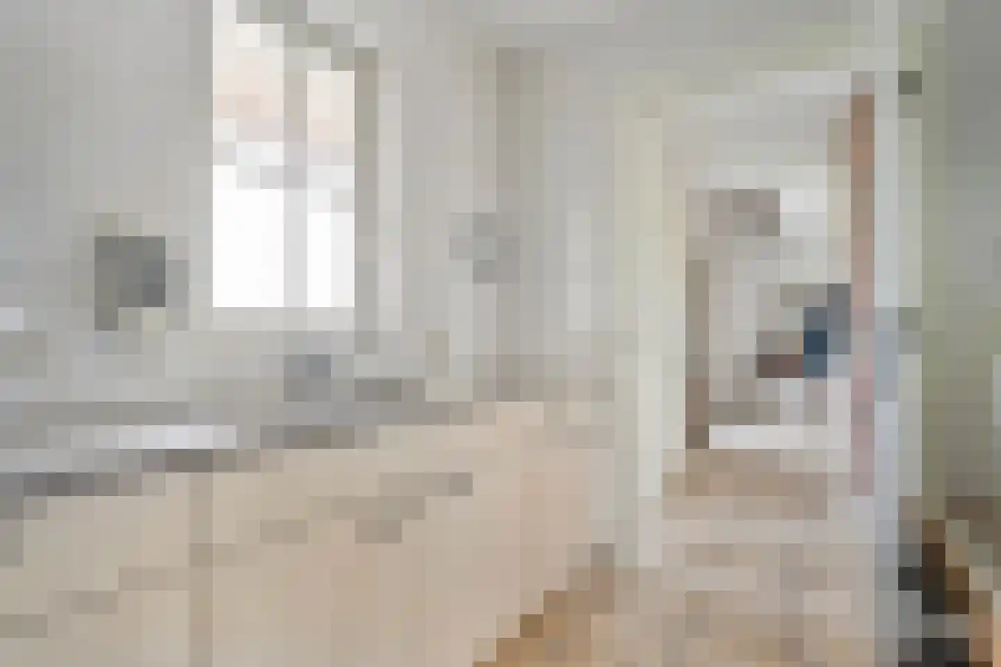 Balkerweg 42 Ommen thumbnail 36