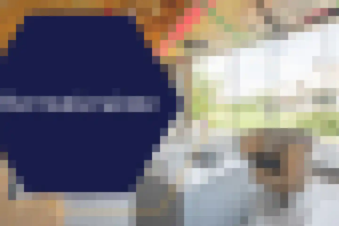 Balkerweg 42 Ommen thumbnail 91