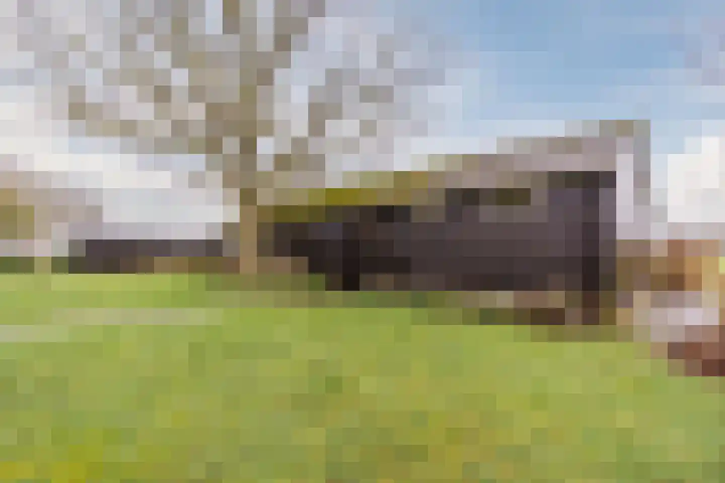 Balkerweg 66 Witharen thumbnail 28