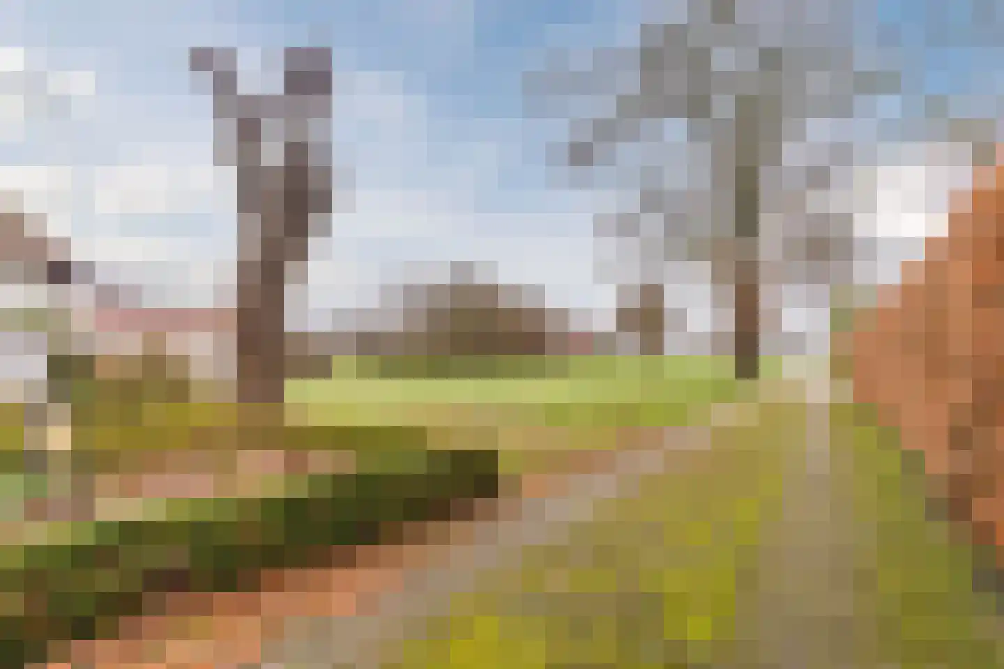 Balkerweg 66 Witharen thumbnail 36