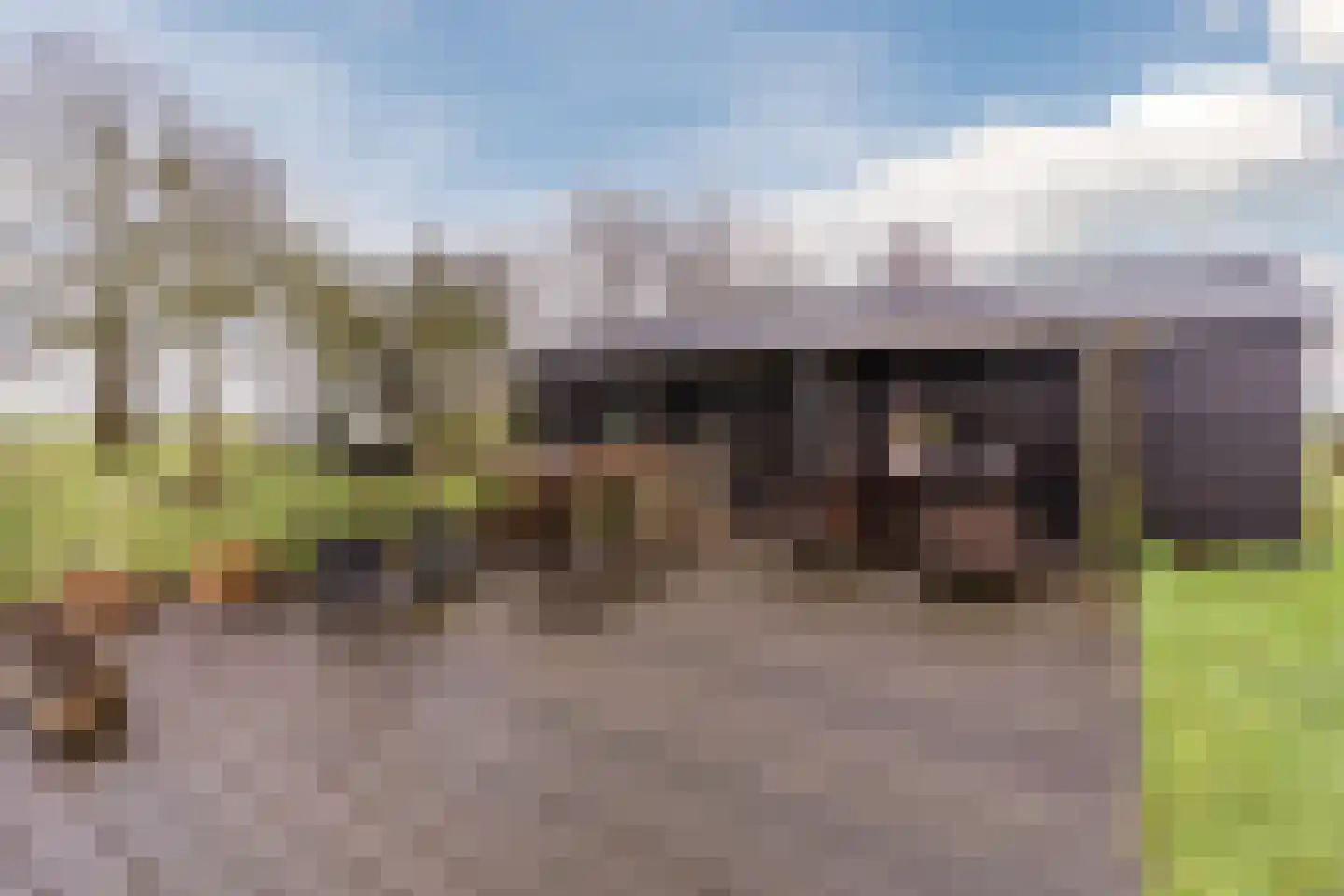 Balkerweg 66 Witharen thumbnail 39
